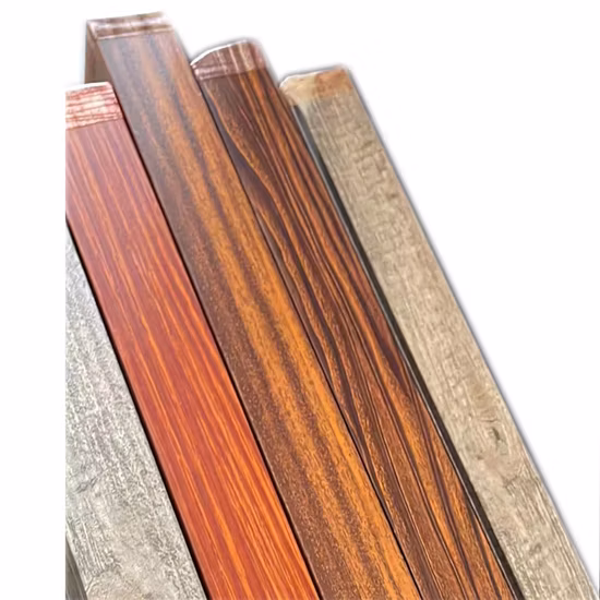 Porta de celeiro de ferro forjado interior incrível Revestimento em pó Porta de celeiro de segurança de ferro